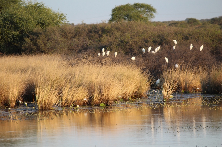 4 Bedroom Property for Sale in Thabazimbi Limpopo