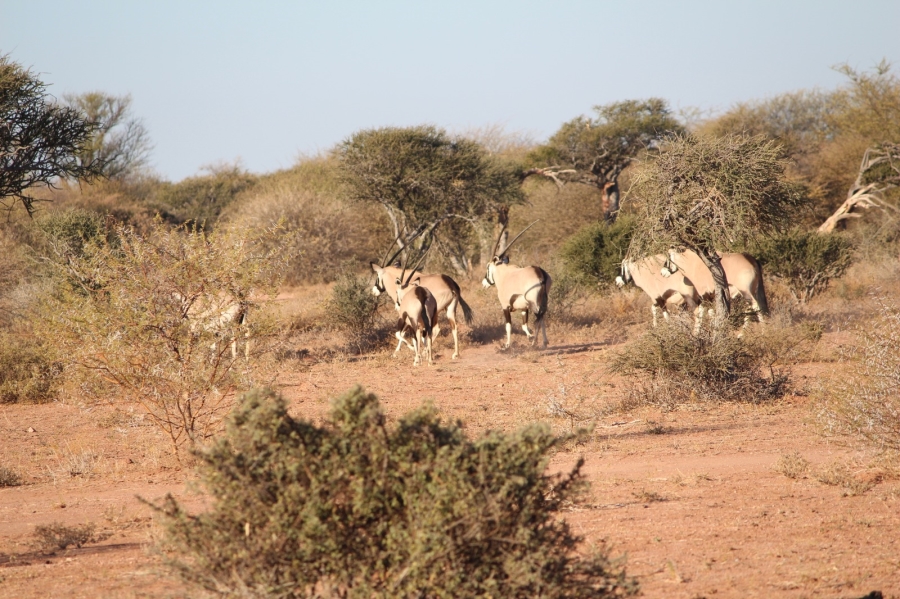 4 Bedroom Property for Sale in Thabazimbi Limpopo