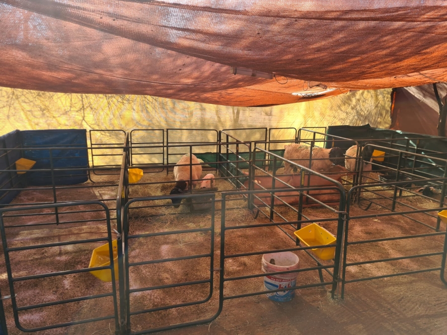 4 Bedroom Property for Sale in Thabazimbi Limpopo