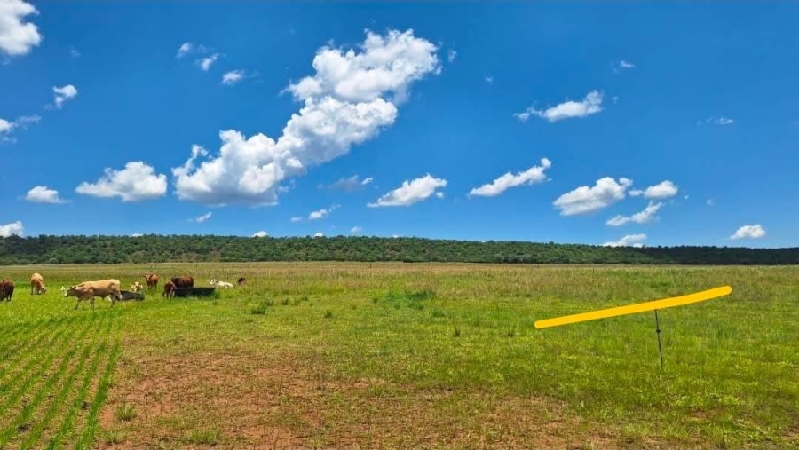 4 Bedroom Property for Sale in Alma Limpopo