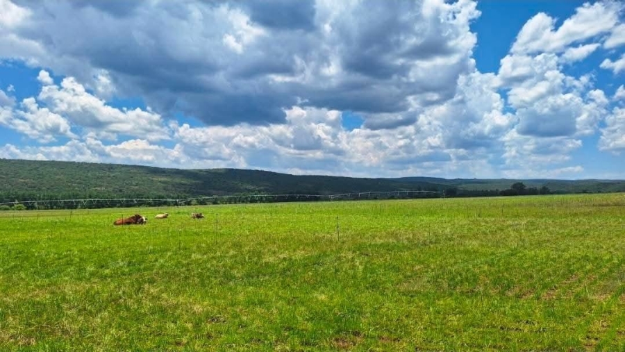 4 Bedroom Property for Sale in Alma Limpopo