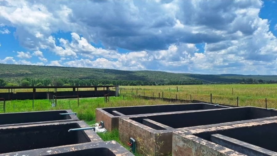 4 Bedroom Property for Sale in Alma Limpopo