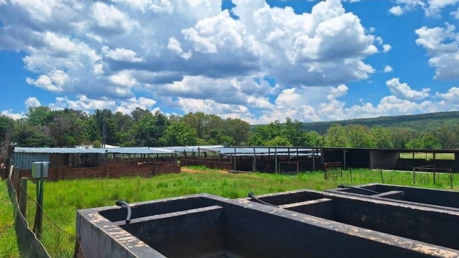 4 Bedroom Property for Sale in Alma Limpopo