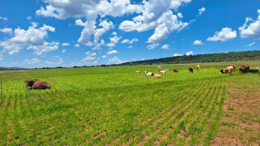 4 Bedroom Property for Sale in Alma Limpopo