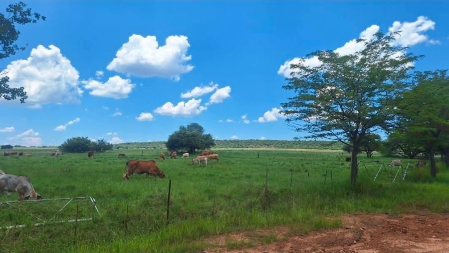 4 Bedroom Property for Sale in Alma Limpopo