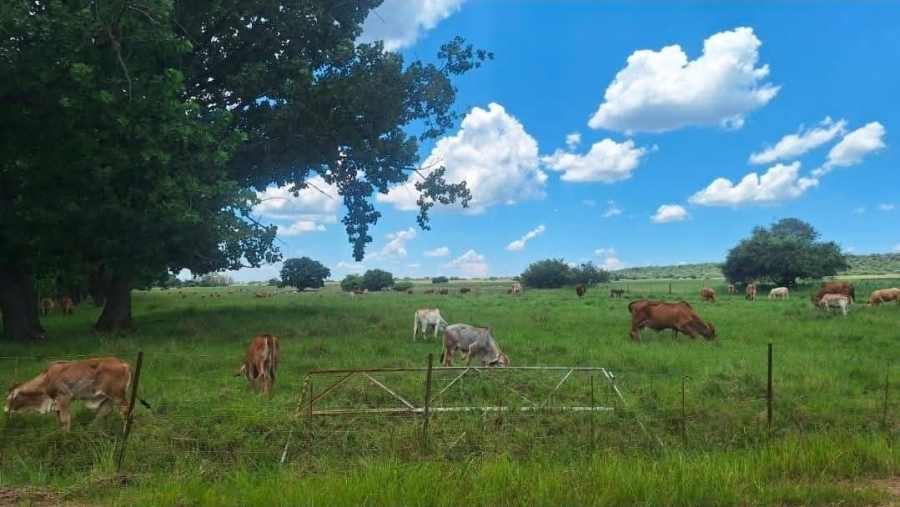 4 Bedroom Property for Sale in Alma Limpopo