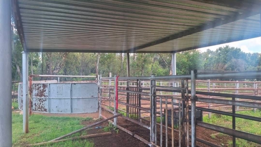 4 Bedroom Property for Sale in Alma Limpopo