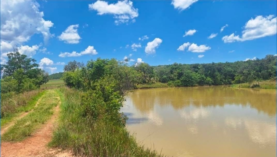 4 Bedroom Property for Sale in Alma Limpopo