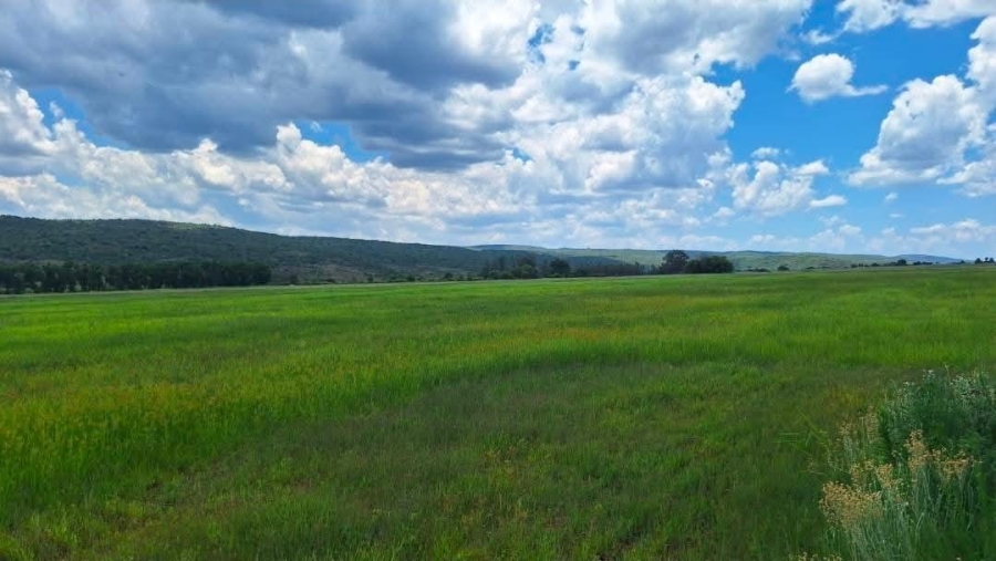 4 Bedroom Property for Sale in Alma Limpopo