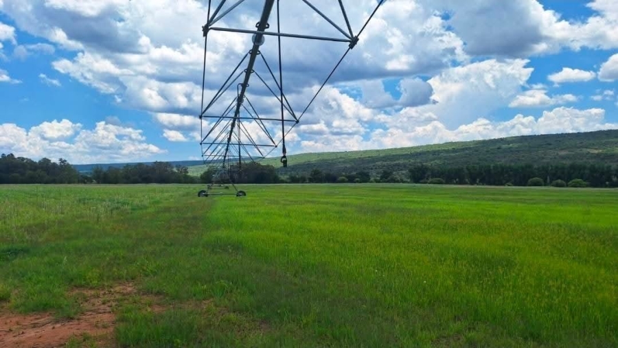 4 Bedroom Property for Sale in Alma Limpopo