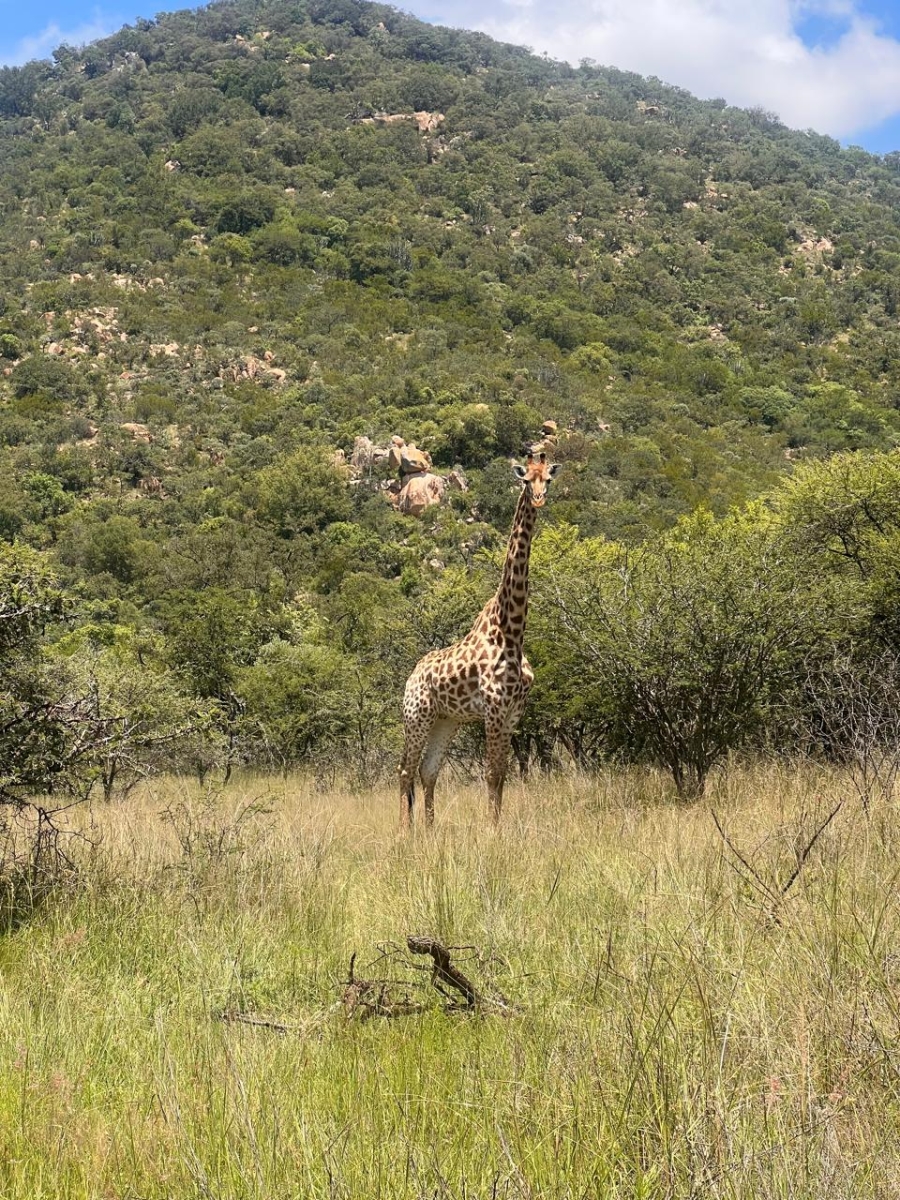 3 Bedroom Property for Sale in Mokopane Rural Limpopo