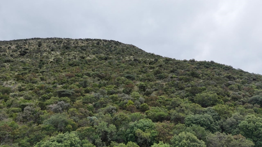 4 Bedroom Property for Sale in Mokopane Rural Limpopo
