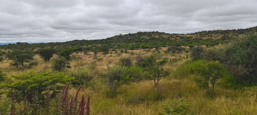 0 Bedroom Property for Sale in Bendor Limpopo