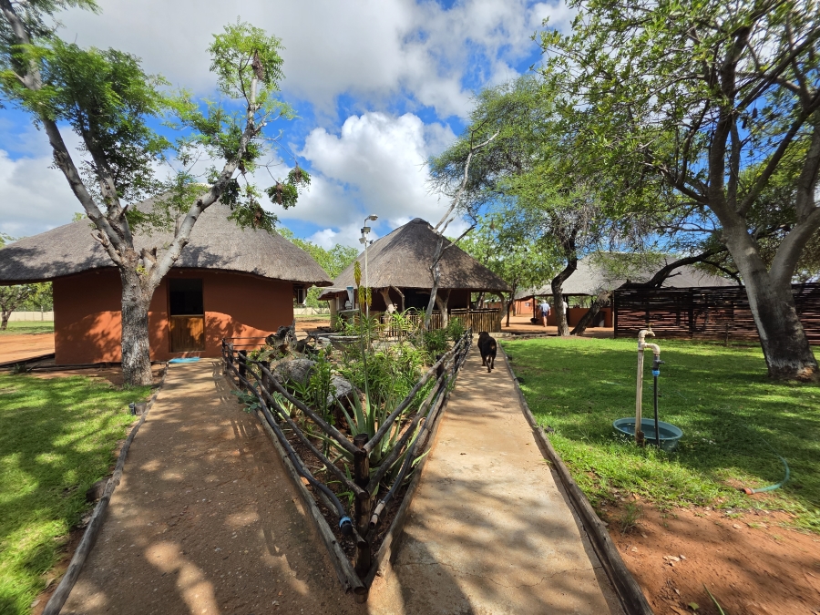 12 Bedroom Property for Sale in Alldays Limpopo