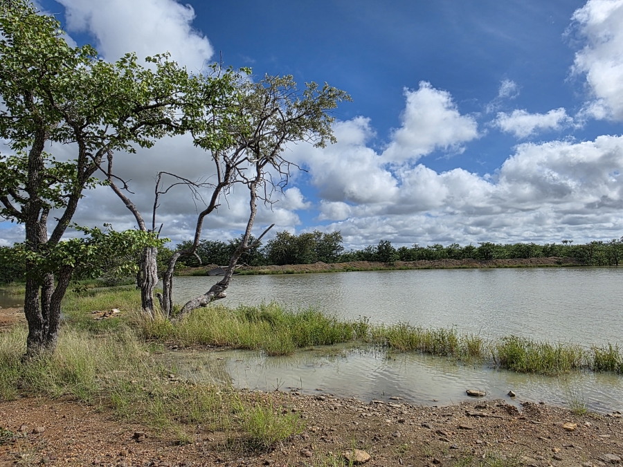 12 Bedroom Property for Sale in Alldays Limpopo