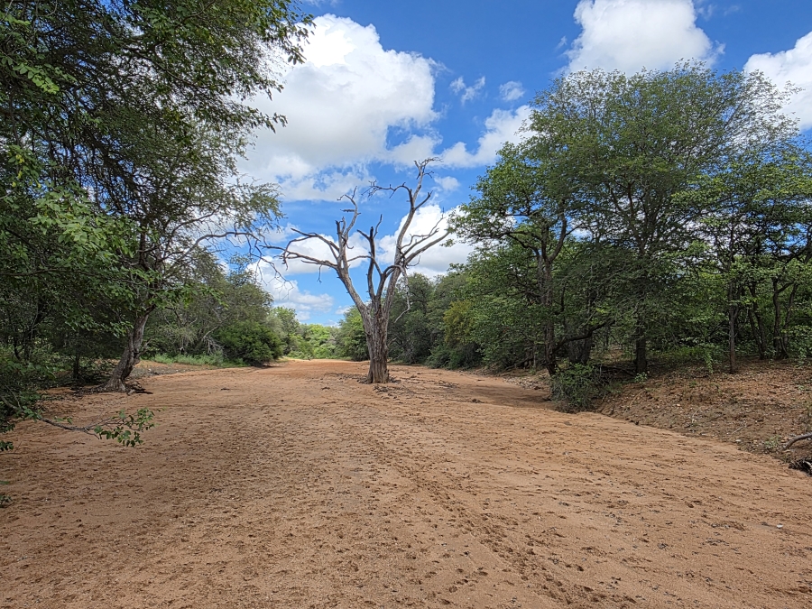 12 Bedroom Property for Sale in Alldays Limpopo