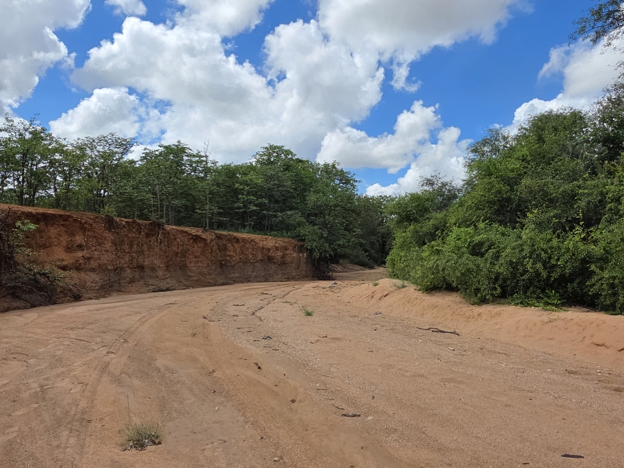 12 Bedroom Property for Sale in Alldays Limpopo