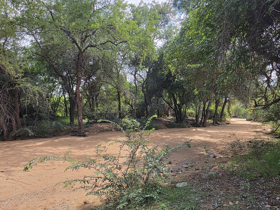 12 Bedroom Property for Sale in Alldays Limpopo