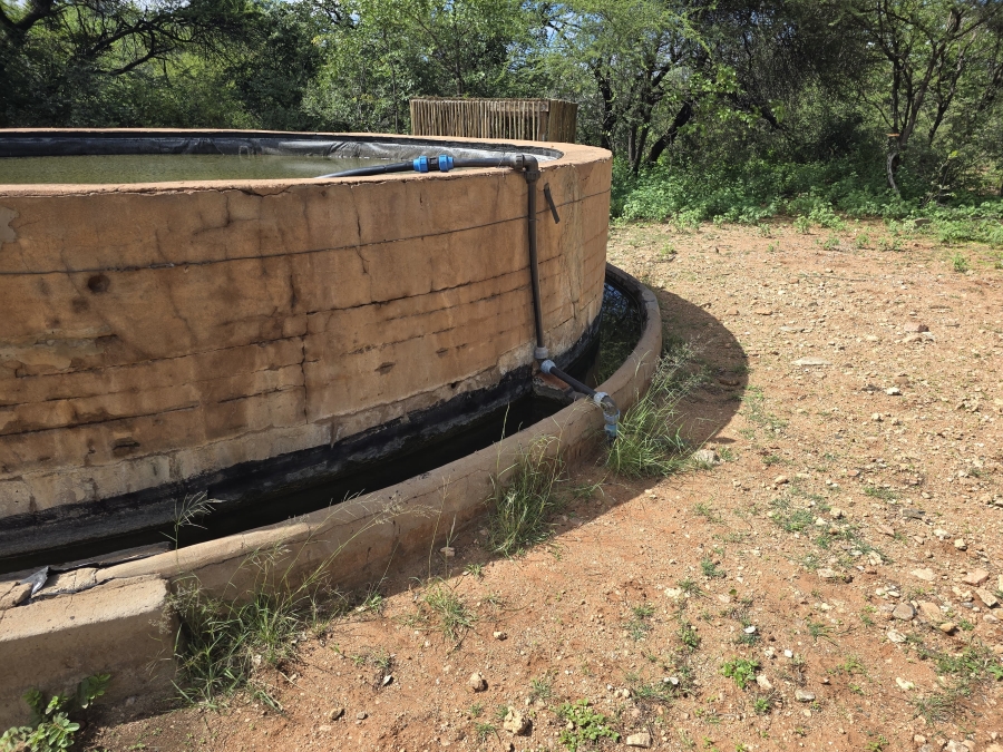 12 Bedroom Property for Sale in Alldays Limpopo