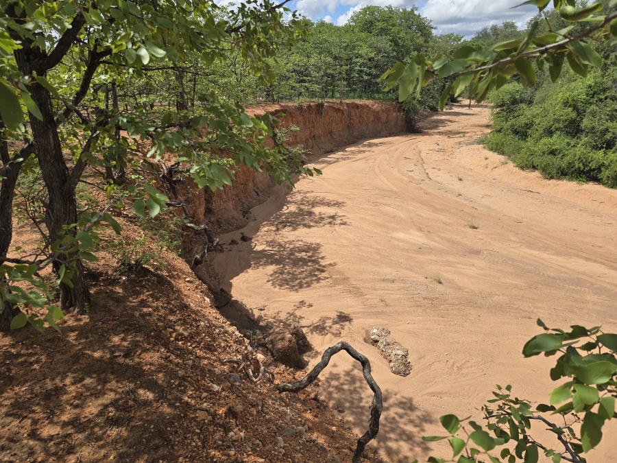 12 Bedroom Property for Sale in Alldays Limpopo