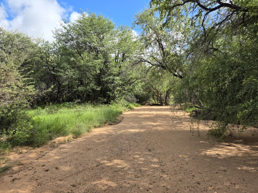 12 Bedroom Property for Sale in Alldays Limpopo