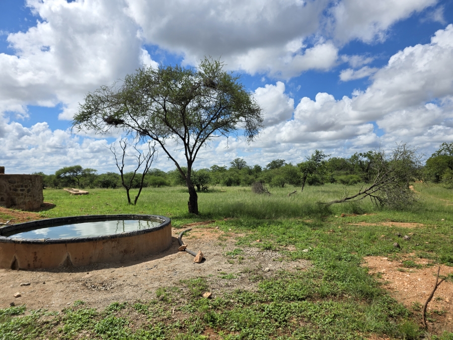 12 Bedroom Property for Sale in Alldays Limpopo