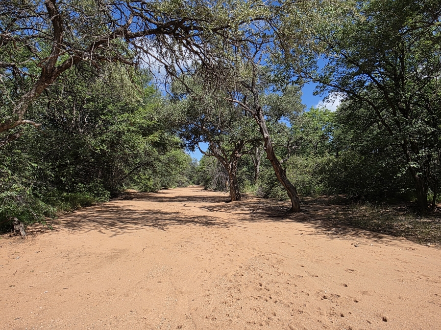 12 Bedroom Property for Sale in Alldays Limpopo