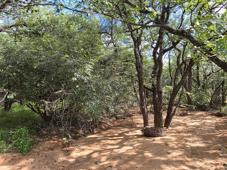 12 Bedroom Property for Sale in Alldays Limpopo