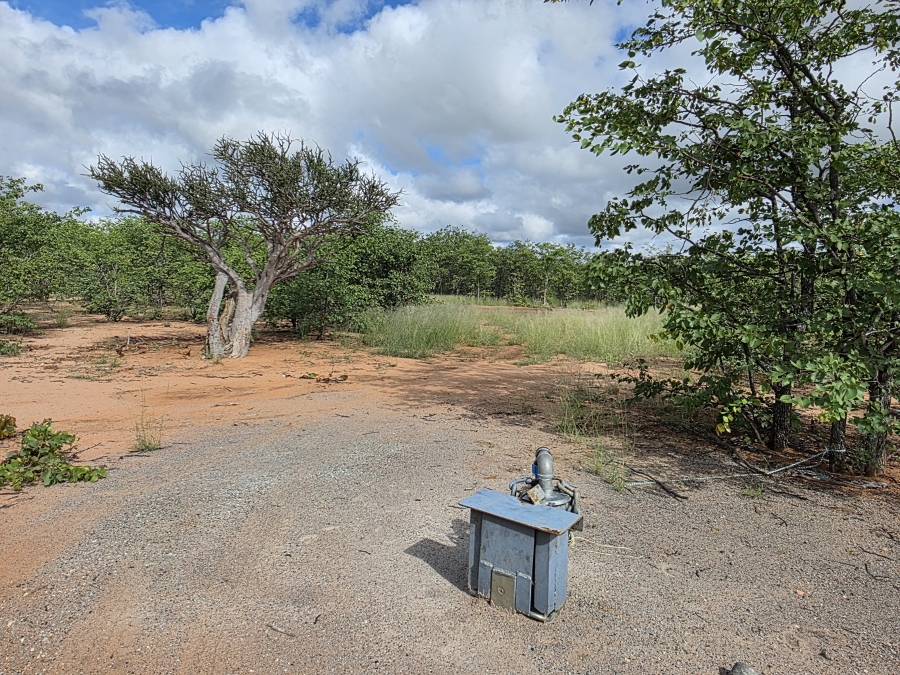 12 Bedroom Property for Sale in Alldays Limpopo