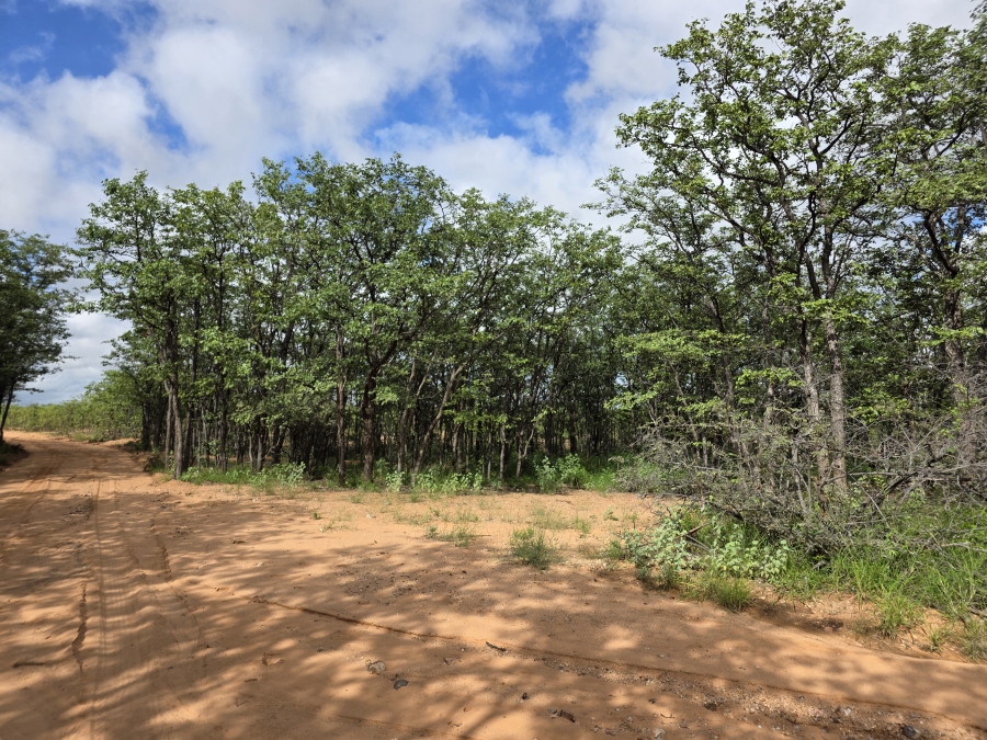 12 Bedroom Property for Sale in Alldays Limpopo