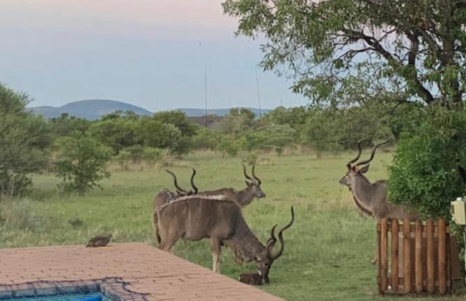 4 Bedroom Property for Sale in Zebula Golf Estate Limpopo