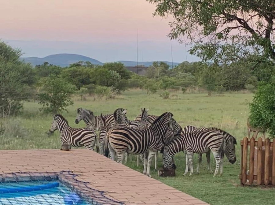 4 Bedroom Property for Sale in Zebula Golf Estate Limpopo