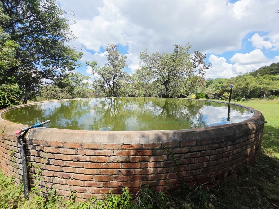 32 Bedroom Property for Sale in Naboomfontein AH Limpopo