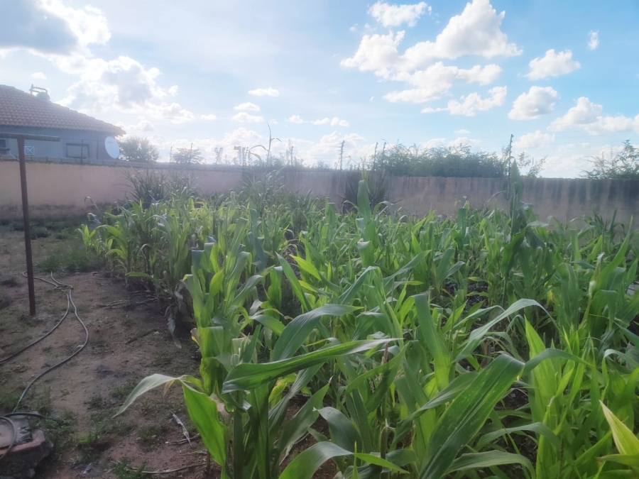 3 Bedroom Property for Sale in Mahlasedi Park Limpopo