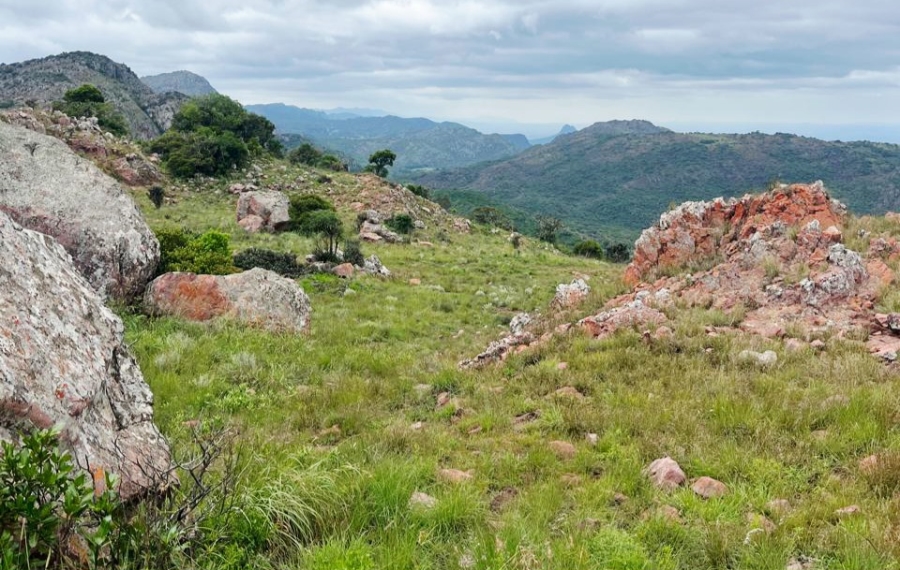 3 Bedroom Property for Sale in Vivo Limpopo