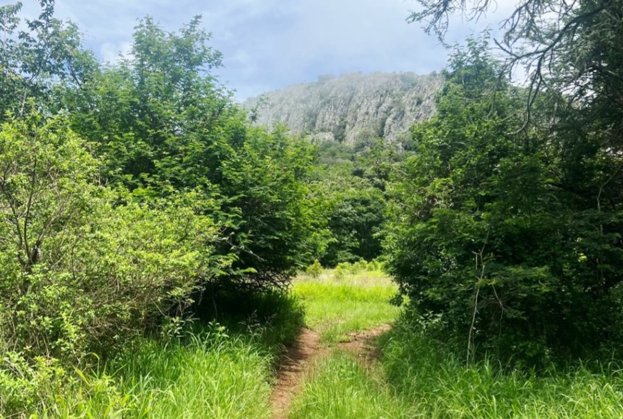 3 Bedroom Property for Sale in Vivo Limpopo