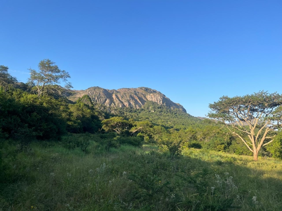 3 Bedroom Property for Sale in Vivo Limpopo