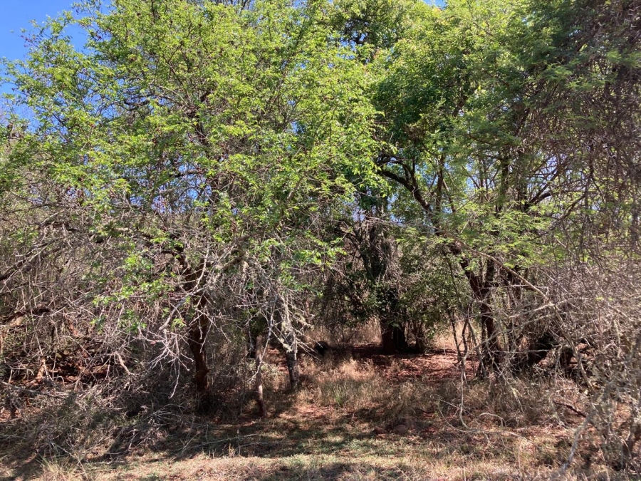 3 Bedroom Property for Sale in Vivo Limpopo