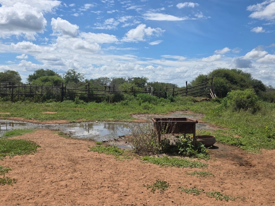 0 Bedroom Property for Sale in Tom Burke Limpopo