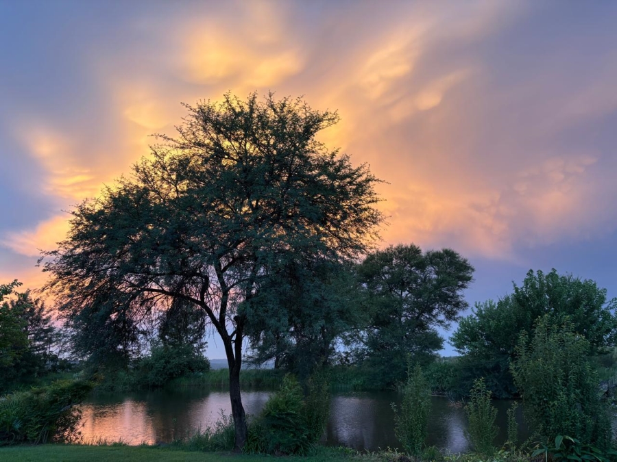 3 Bedroom Property for Sale in Modimolle Limpopo