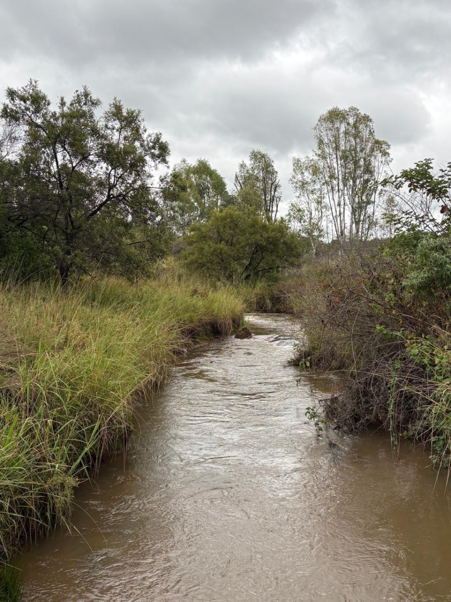 3 Bedroom Property for Sale in Modimolle Limpopo