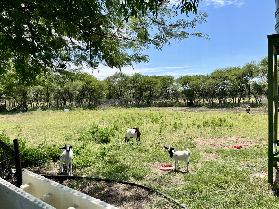 2 Bedroom Property for Sale in Bela-Bela Ext 5 Limpopo