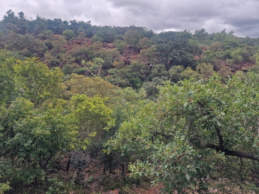 0 Bedroom Property for Sale in Bela Bela Limpopo