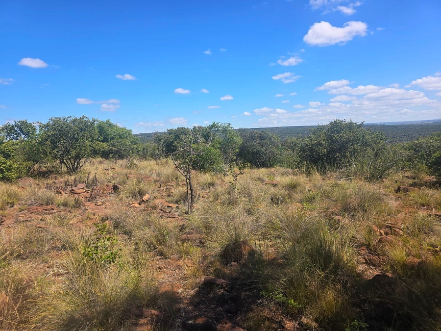 0 Bedroom Property for Sale in Bela Bela Limpopo