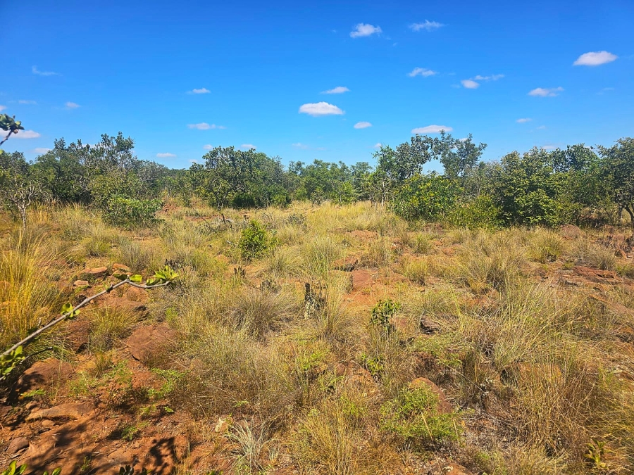 0 Bedroom Property for Sale in Bela Bela Limpopo