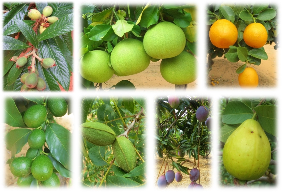 3 Bedroom Property for Sale in Vaalwater Limpopo