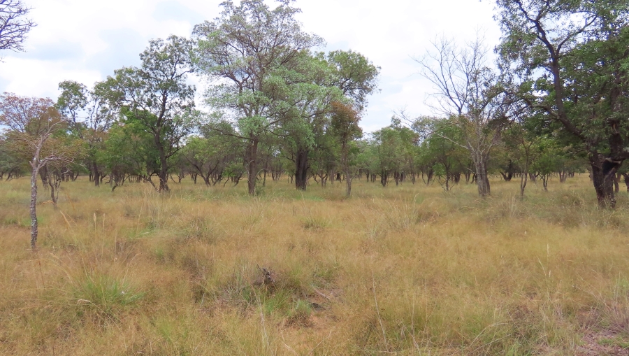 3 Bedroom Property for Sale in Vaalwater Limpopo