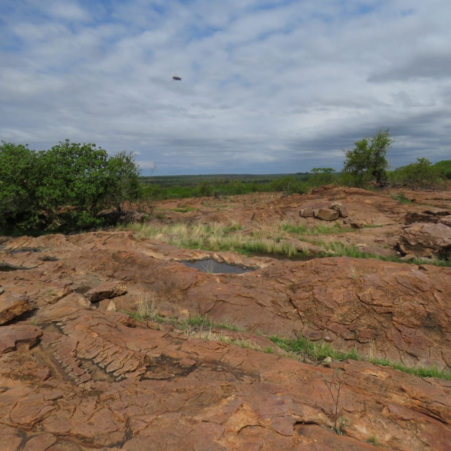 3 Bedroom Property for Sale in Bale Limpopo