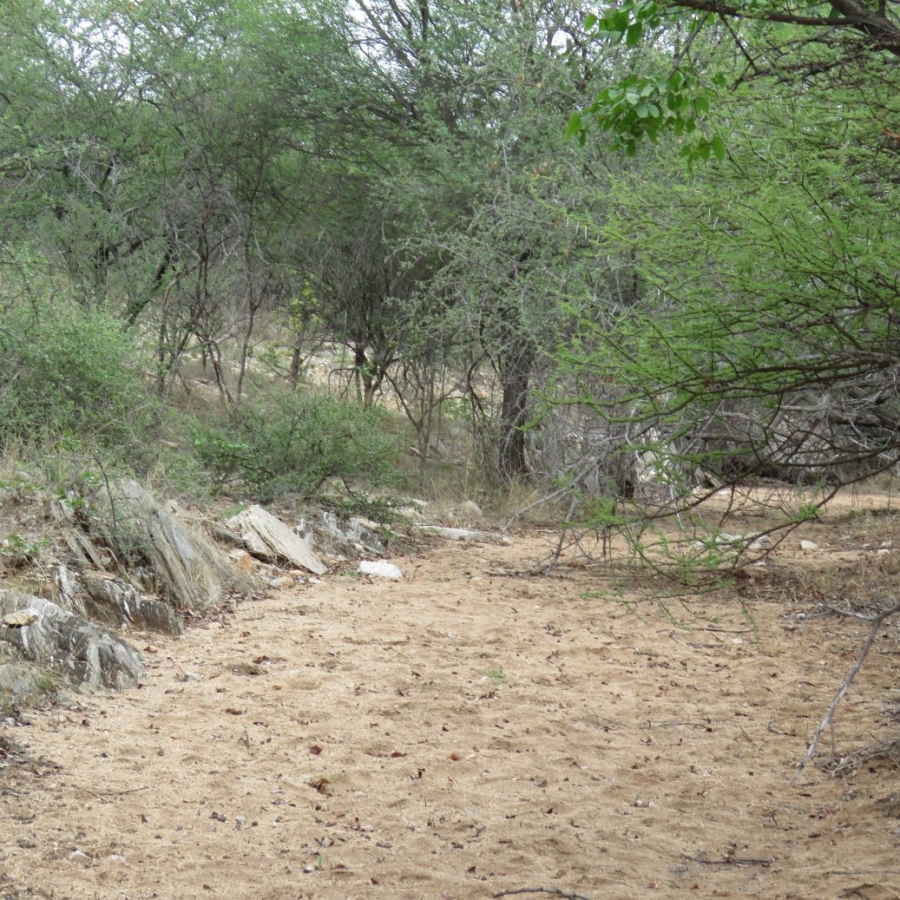 3 Bedroom Property for Sale in Bale Limpopo