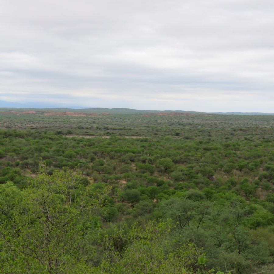 3 Bedroom Property for Sale in Bale Limpopo